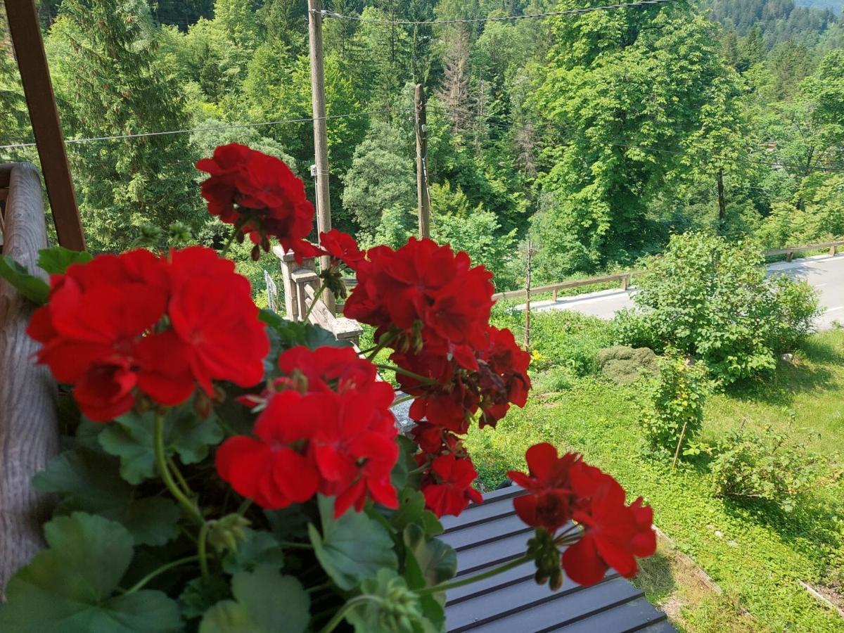 Gostisce Andrejc Hotell Soča Eksteriør bilde